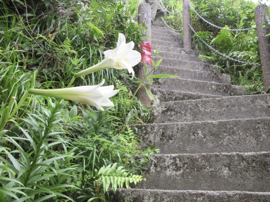 伊江島タッチュー登山道