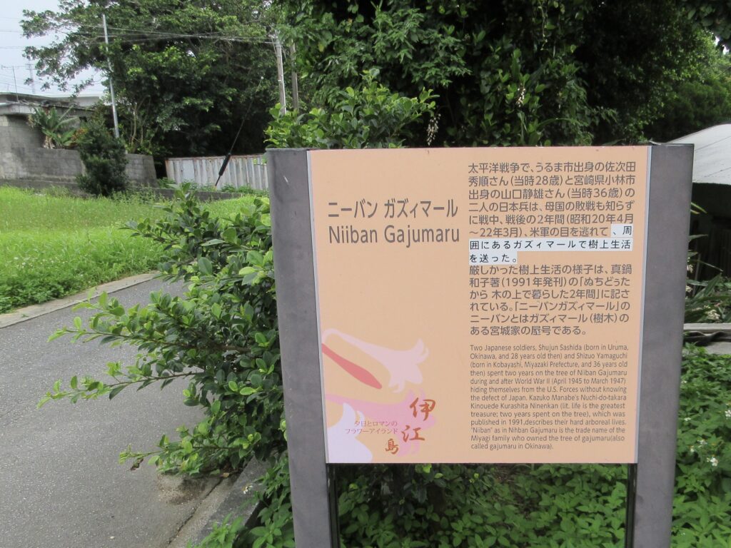 ニーバンガズィマール