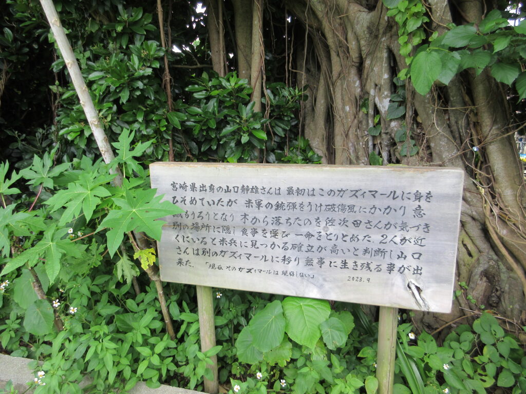 ニーバンガズィマール