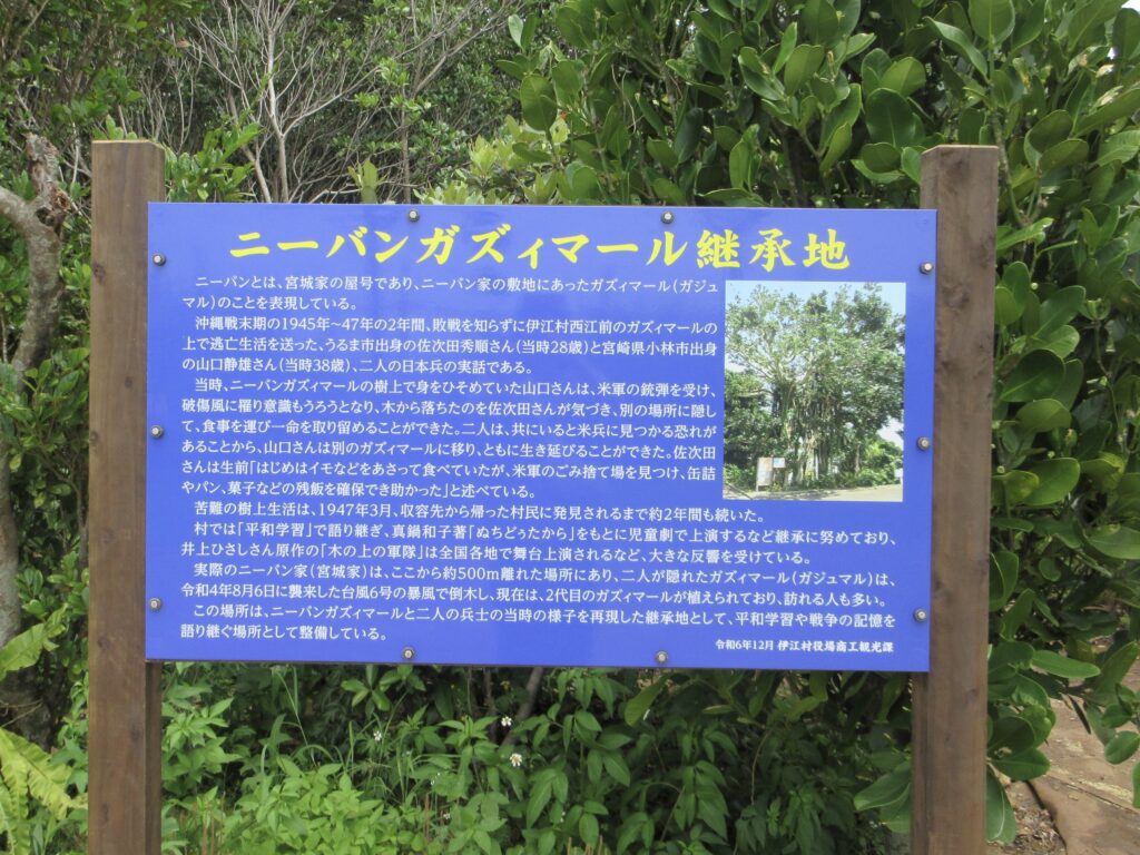 木の上の軍隊ロケ地（ミースィ公園）