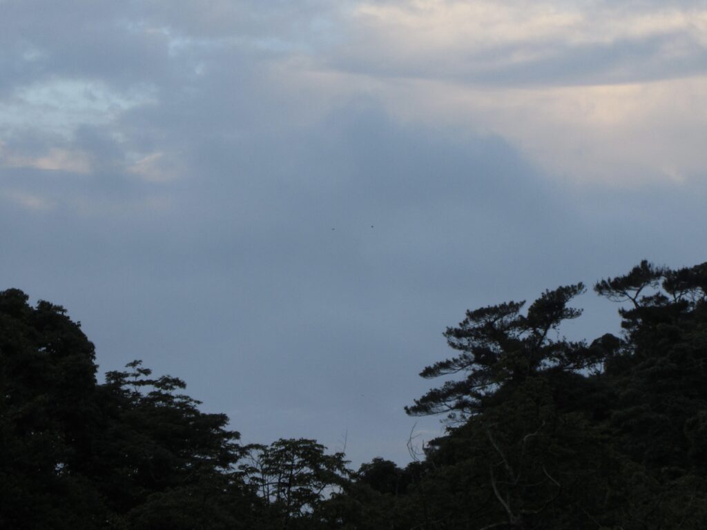 「森宿山甌（やまがめ）」景色