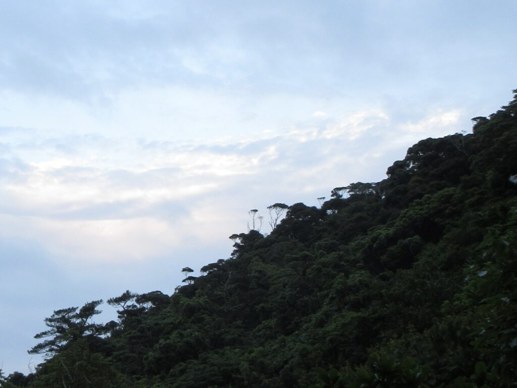 「森宿山甌（やまがめ）」景色